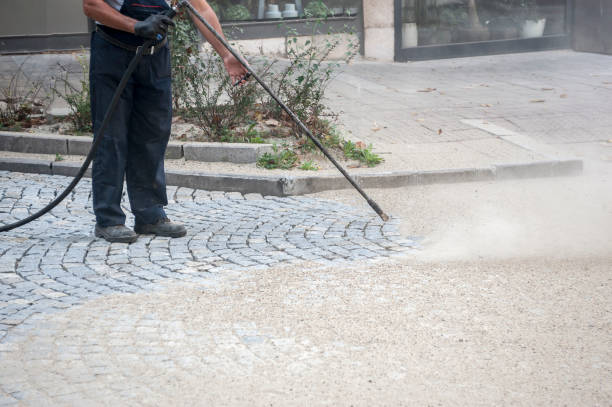 Best Window and Screen Pressure Cleaning in Augusta, KY