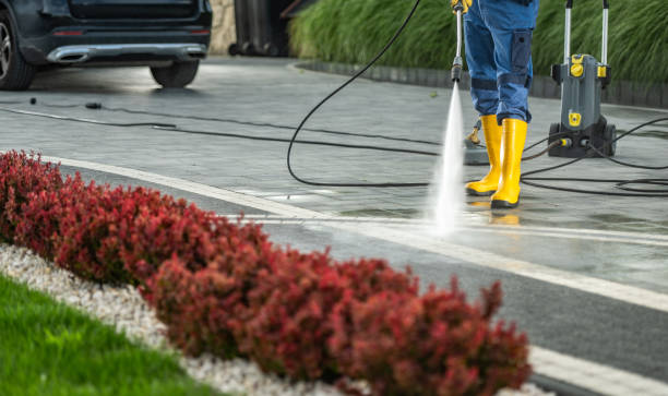 Best Sidewalk and Walkway Pressure Cleaning in Augusta, KY
